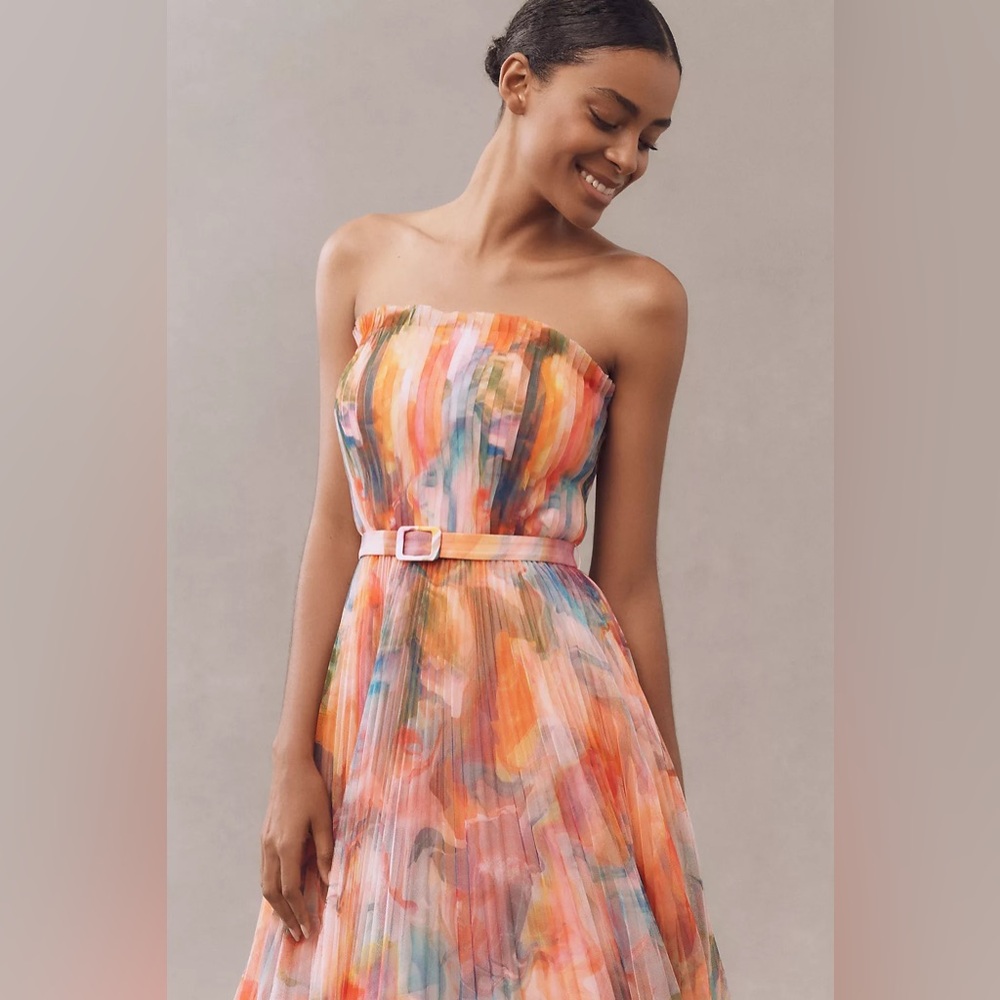 Hutch Strapless Pleated Chiffon Maxi Dress - Picture 3 of 4
